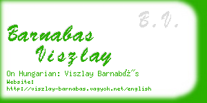 barnabas viszlay business card